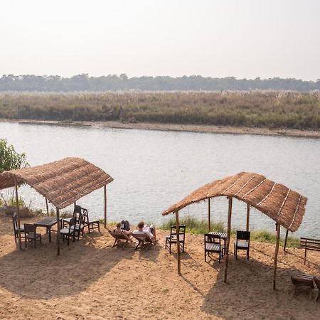 Hotel Jungle Wildlife Camp Sauraha Exterior foto