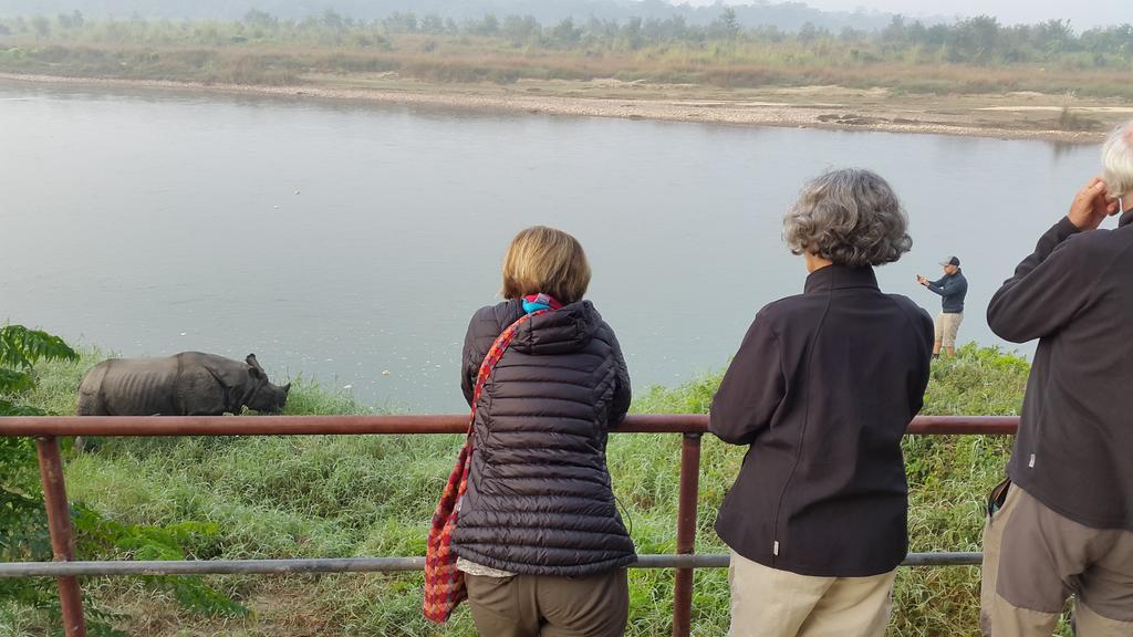 Hotel Jungle Wildlife Camp Sauraha Exterior foto