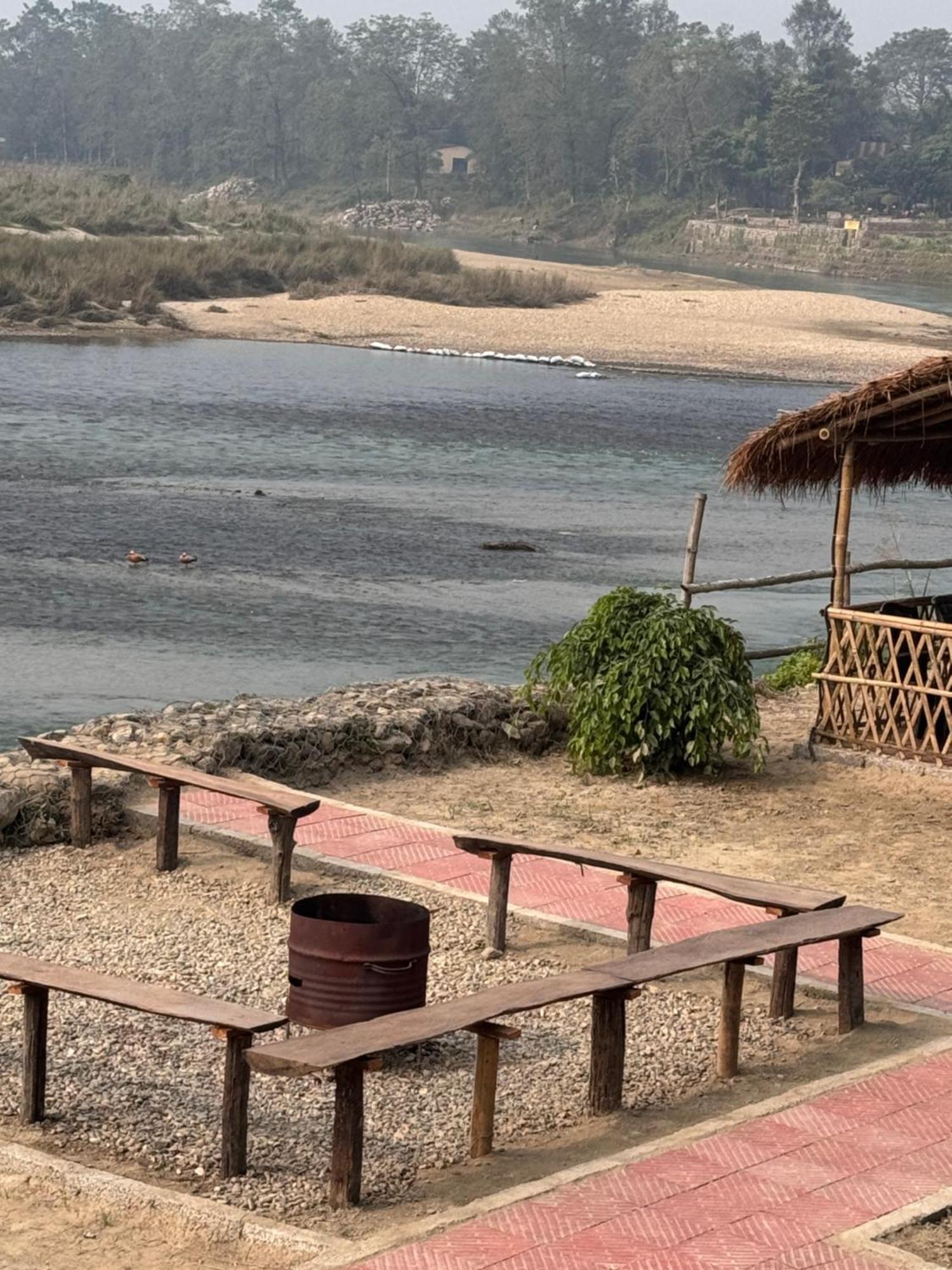 Hotel Jungle Wildlife Camp Sauraha Exterior foto