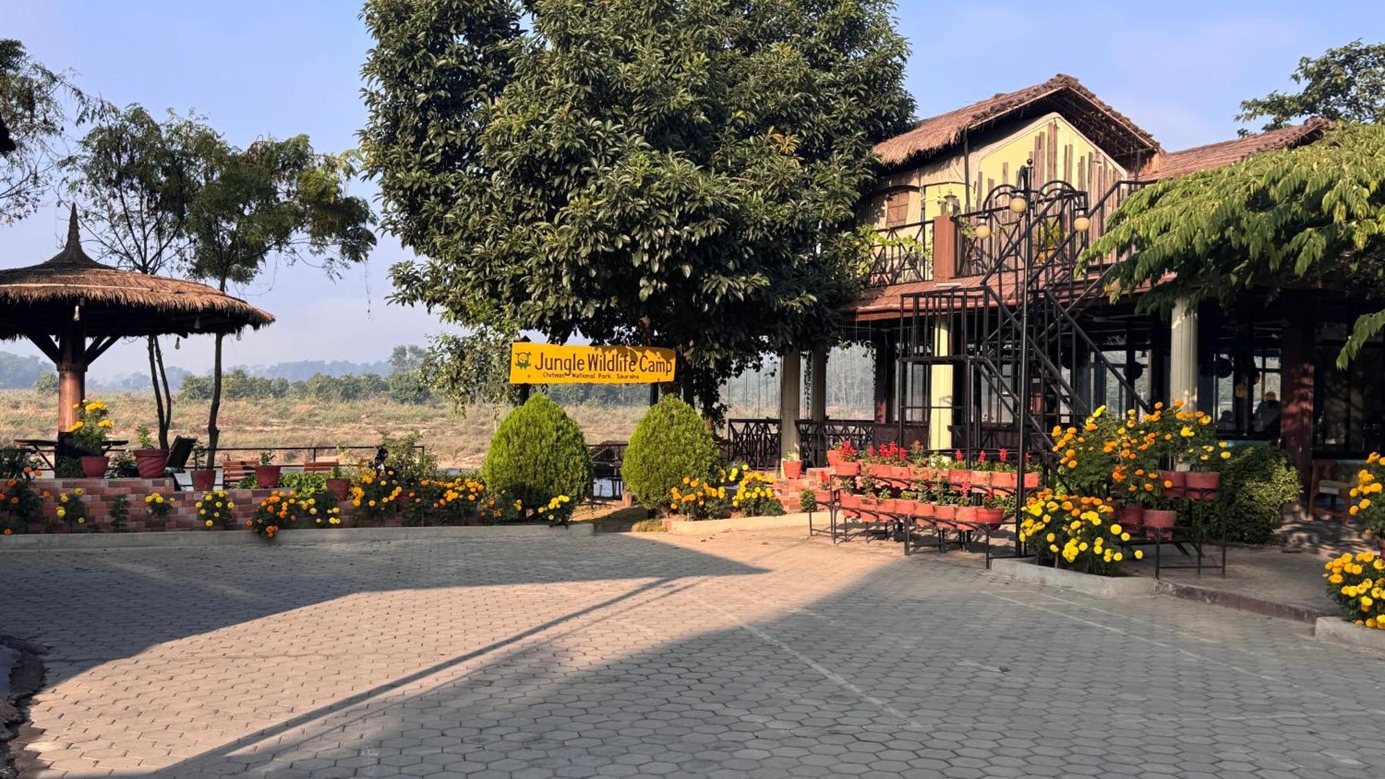 Hotel Jungle Wildlife Camp Sauraha Exterior foto