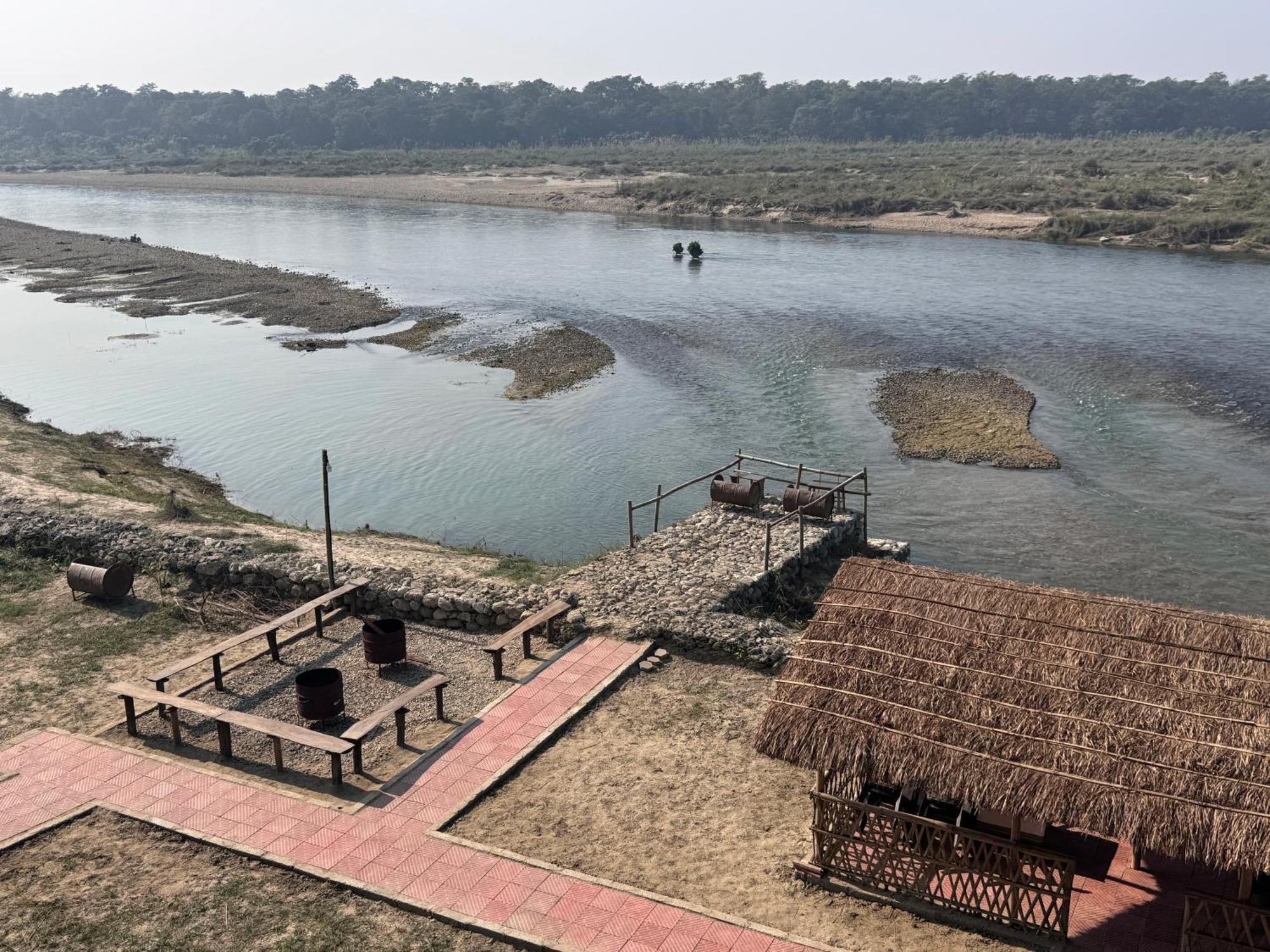 Hotel Jungle Wildlife Camp Sauraha Exterior foto
