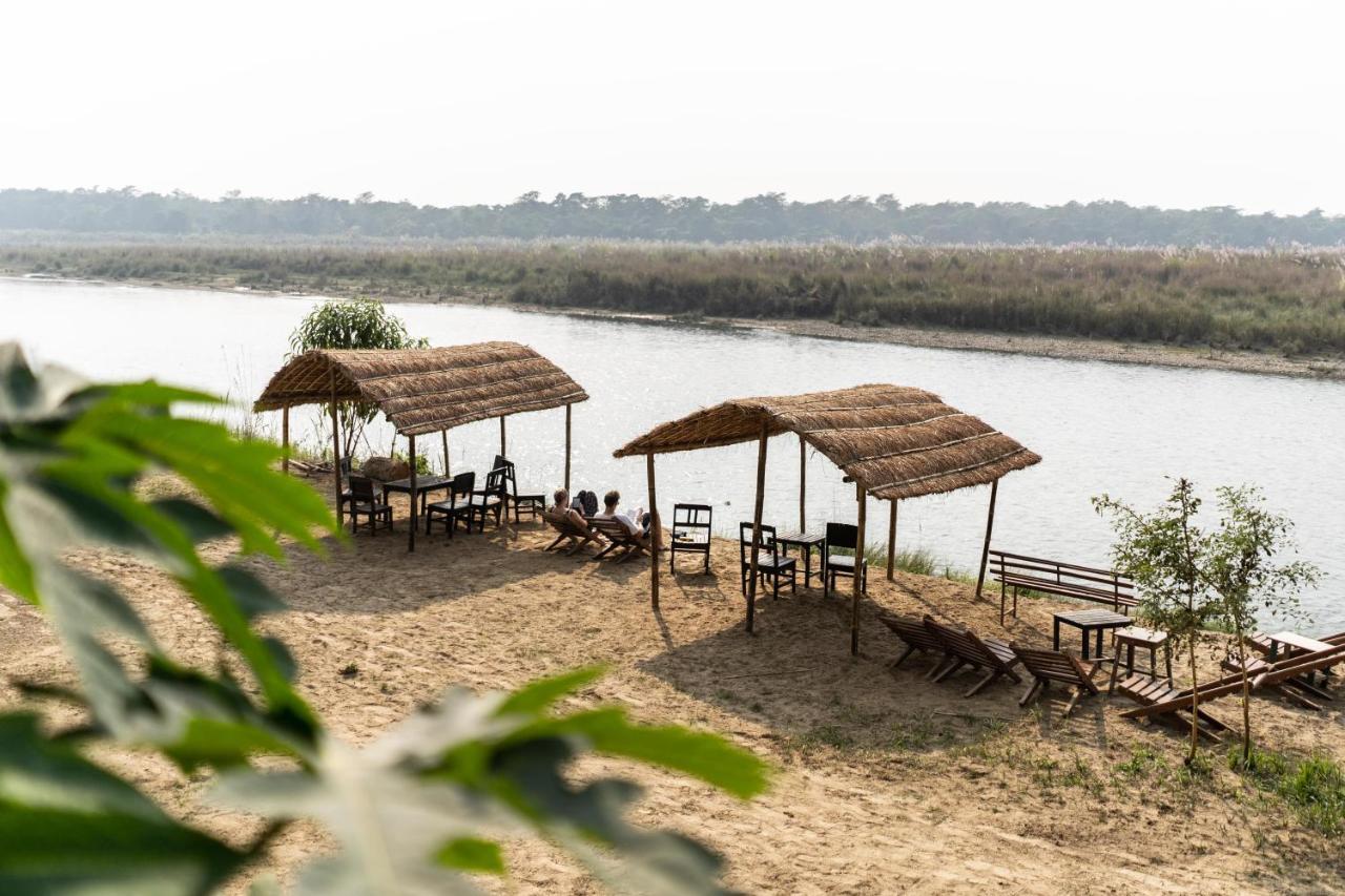 Hotel Jungle Wildlife Camp Sauraha Exterior foto